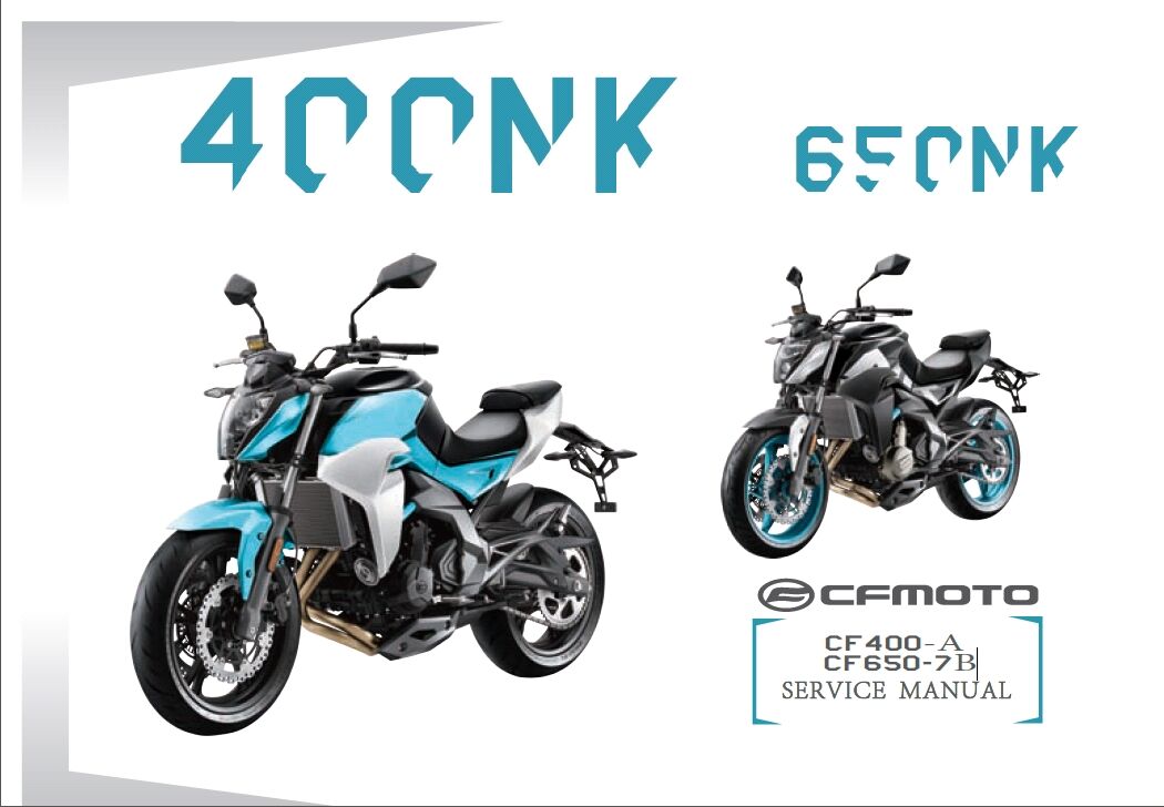 MANUEL PROPRIETAIRE POUR 650 NK ABS 2019