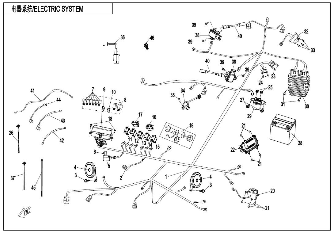 SYSTEME ELECTRIQUE POUR ZF1000 EPS 2020