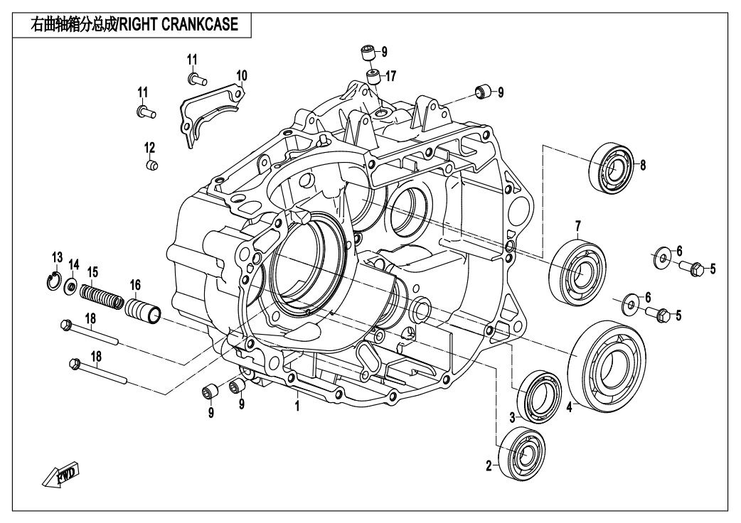 CARTER DE VILEBREQUIN DROIT POUR CF 300NK 2020