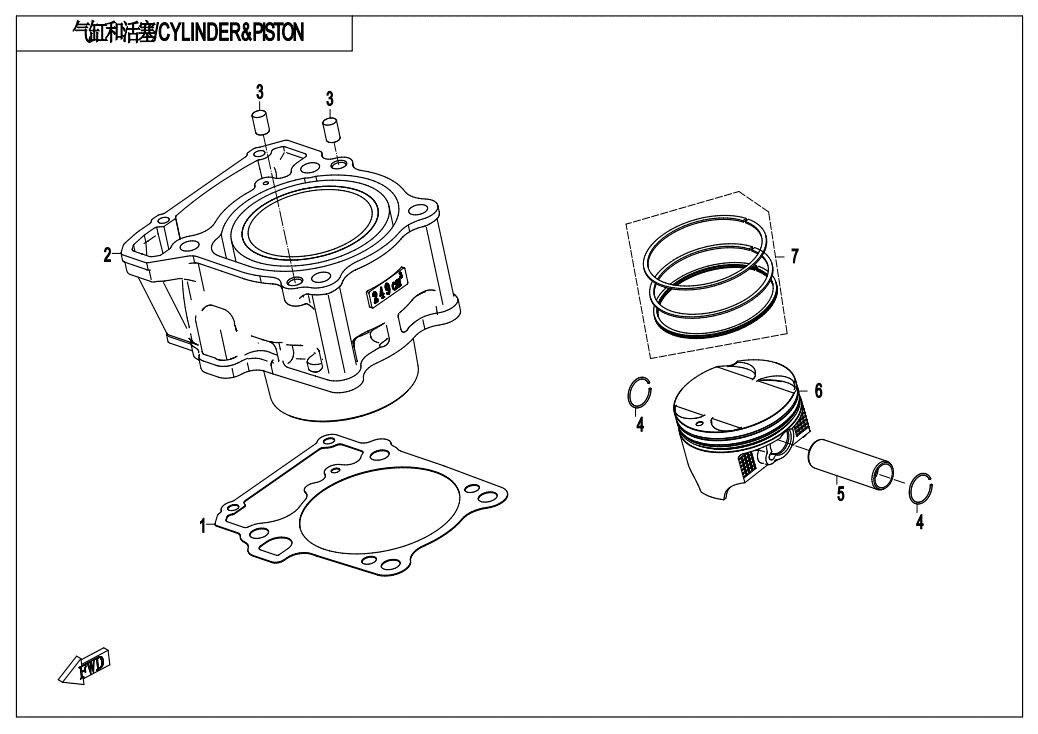 CYLINDRE ET PISTON POUR CF 300NK 2021