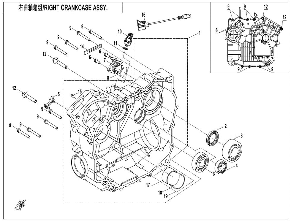 CARTER DROIT POUR CFORCE 520 S L7E COURT 2021